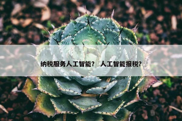 纳税服务人工智能？ 人工智能报税？