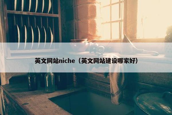 英文网站niche（英文网站建设哪家好）