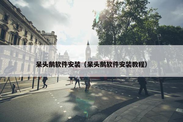 呆头鹅软件安装（呆头鹅软件安装教程）