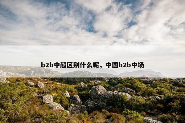 b2b中超区别什么呢，中国b2b中场