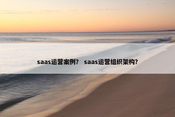 saas运营案例？ saas运营组织架构？