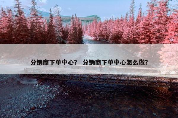 分销商下单中心？ 分销商下单中心怎么做？