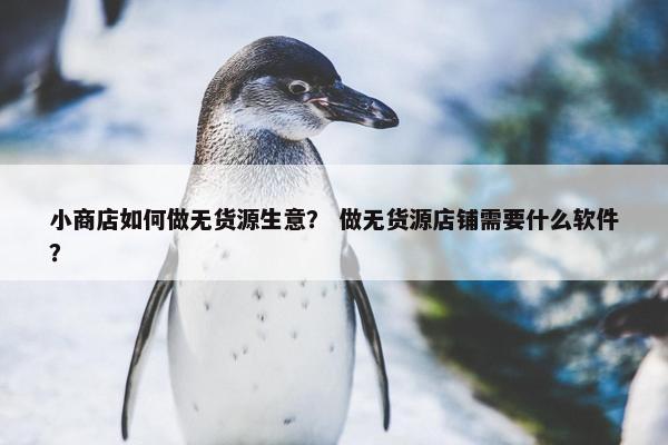 小商店如何做无货源生意？ 做无货源店铺需要什么软件？