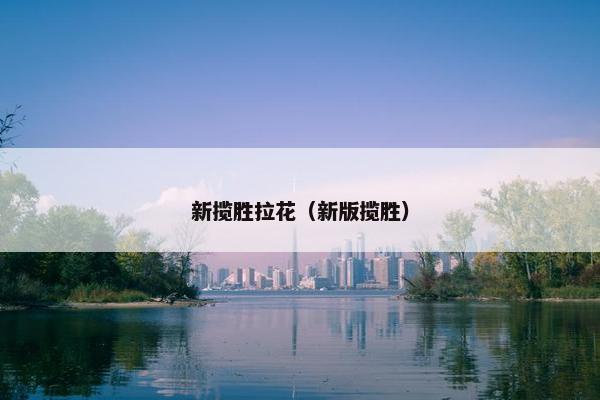 新揽胜拉花（新版揽胜）
