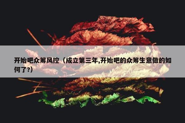 开始吧众筹风控（成立第三年,开始吧的众筹生意做的如何了?）