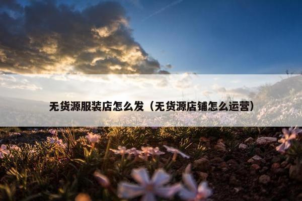 无货源服装店怎么发（无货源店铺怎么运营）