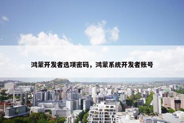 鸿蒙开发者选项密码，鸿蒙系统开发者账号