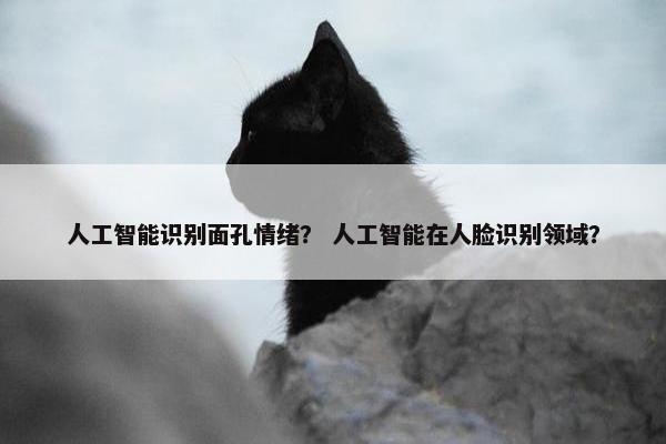 人工智能识别面孔情绪？ 人工智能在人脸识别领域？