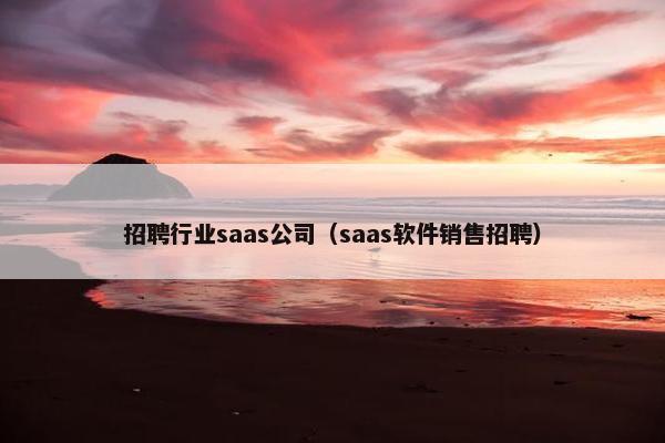 招聘行业saas公司（saas软件销售招聘）