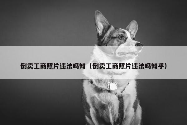 倒卖工商照片违法吗知（倒卖工商照片违法吗知乎）