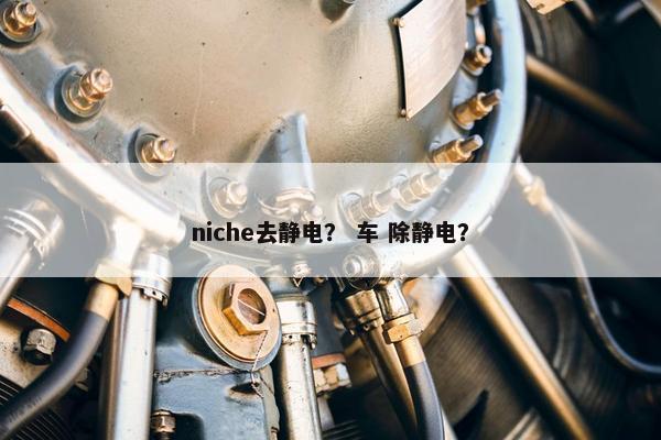 niche去静电？ 车 除静电？