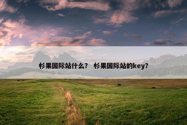 杉果国际站什么？ 杉果国际站的key？