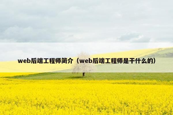 web后端工程师简介（web后端工程师是干什么的）