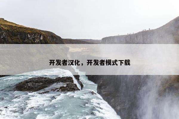 开发者汉化，开发者模式下载