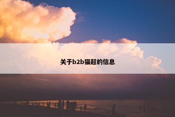 关于b2b猫超的信息