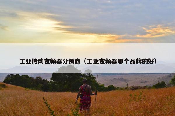 工业传动变频器分销商（工业变频器哪个品牌的好）