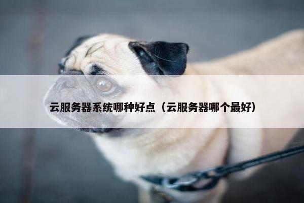 云服务器系统哪种好点（云服务器哪个最好）