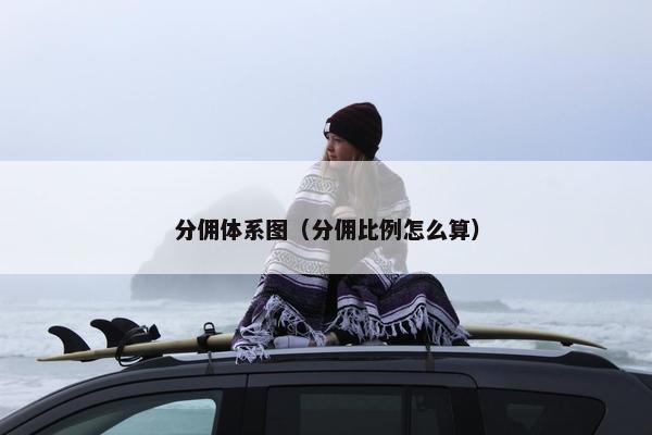 分佣体系图（分佣比例怎么算）