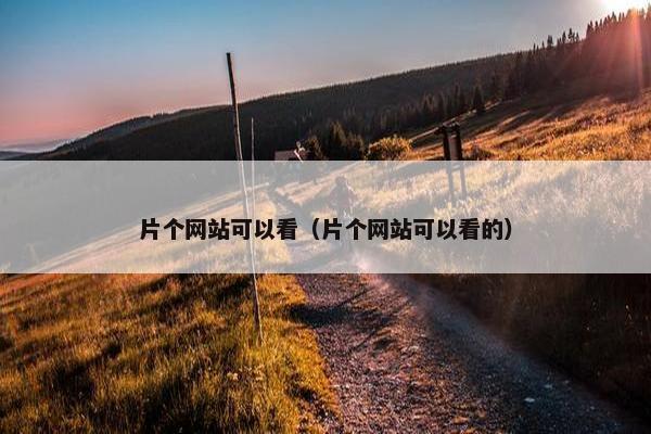 片个网站可以看（片个网站可以看的）