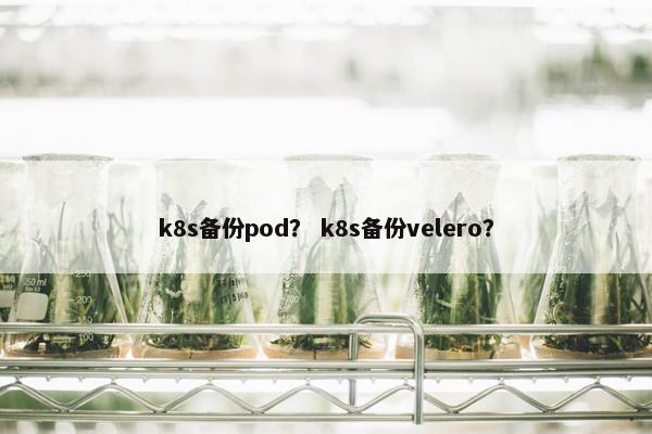 k8s备份pod？ k8s备份velero？