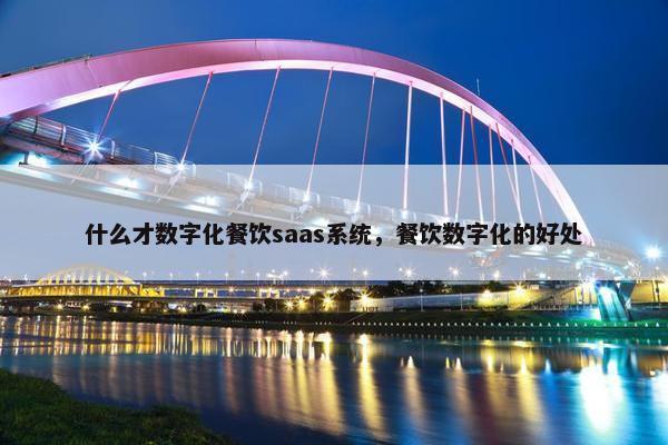 什么才数字化餐饮saas系统，餐饮数字化的好处