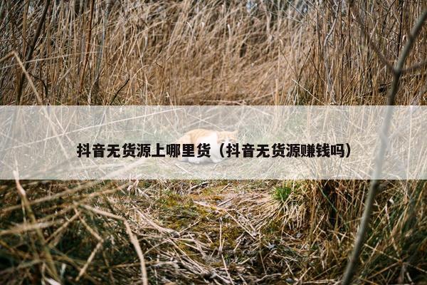 抖音无货源上哪里货（抖音无货源赚钱吗）