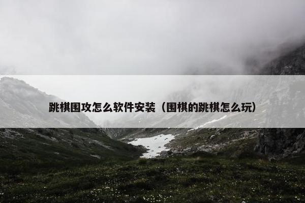 跳棋围攻怎么软件安装（围棋的跳棋怎么玩）