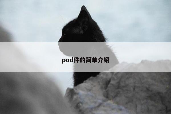 pod件的简单介绍
