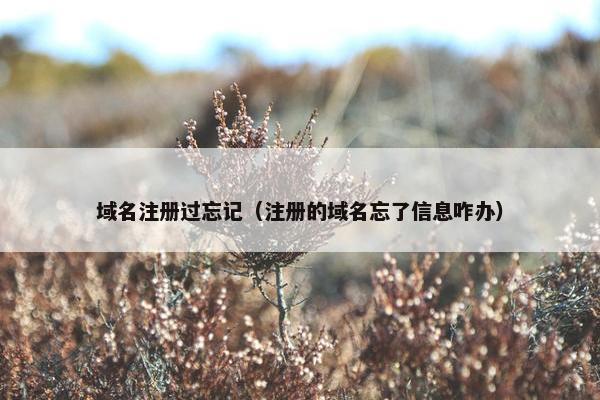 域名注册过忘记（注册的域名忘了信息咋办）