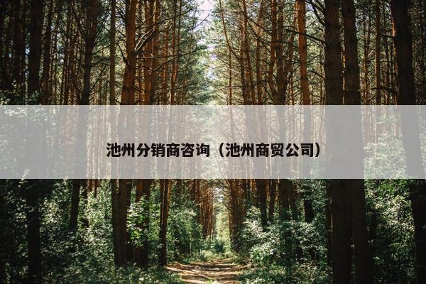 池州分销商咨询（池州商贸公司）