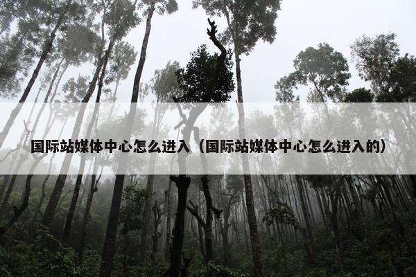 国际站媒体中心怎么进入（国际站媒体中心怎么进入的）