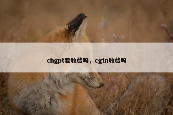 chgpt要收费吗，cgtn收费吗