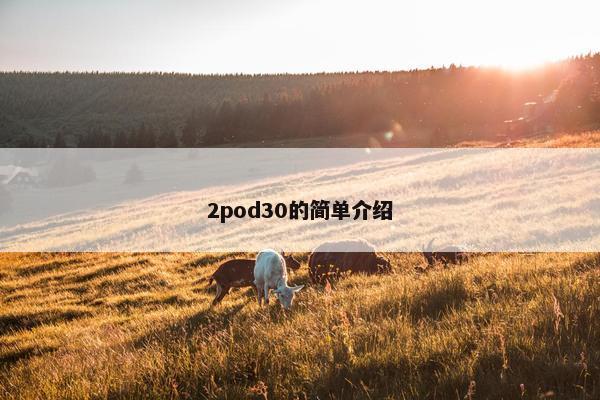 2pod30的简单介绍