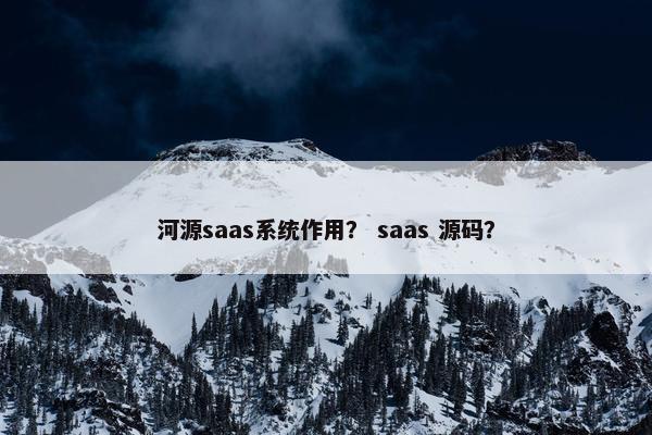 河源saas系统作用？ saas 源码？
