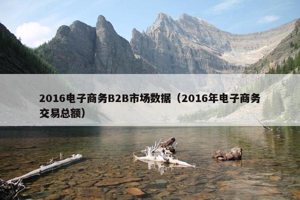 2016电子商务B2B市场数据（2016年电子商务交易总额）