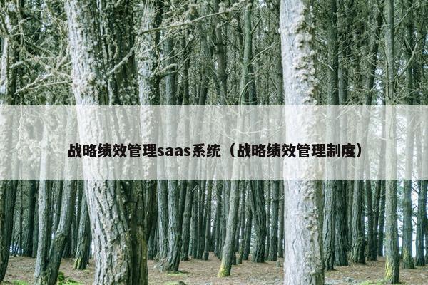 战略绩效管理saas系统（战略绩效管理制度）