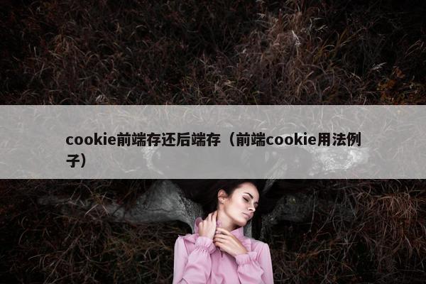 cookie前端存还后端存（前端cookie用法例子）
