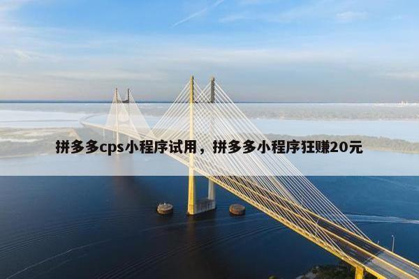 拼多多cps小程序试用，拼多多小程序狂赚20元