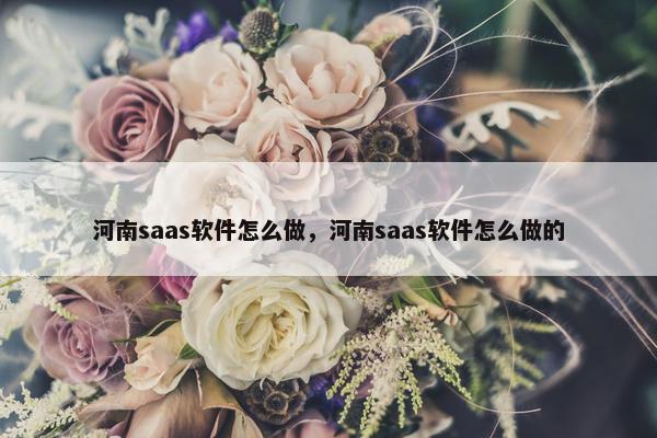 河南saas软件怎么做，河南saas软件怎么做的