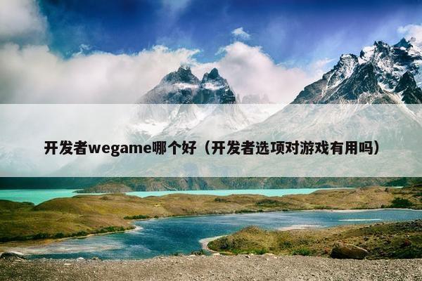 开发者wegame哪个好（开发者选项对游戏有用吗）
