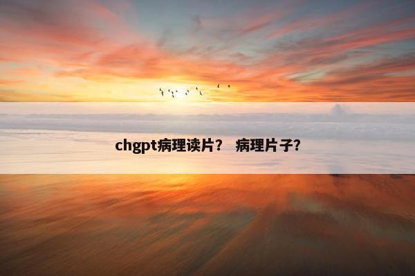 chgpt病理读片？ 病理片子？