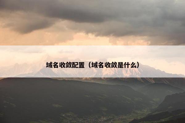 域名收敛配置（域名收敛是什么）