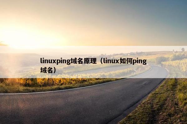 linuxping域名原理（linux如何ping域名）