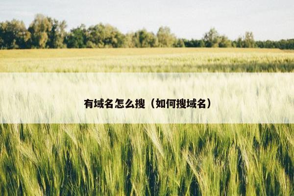 有域名怎么搜（如何搜域名）