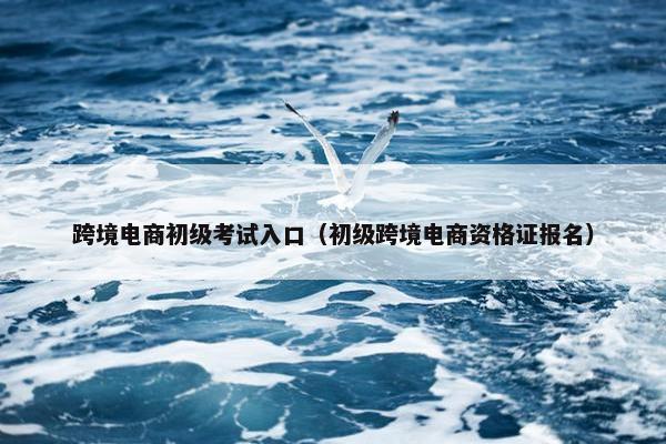 跨境电商初级考试入口（初级跨境电商资格证报名）