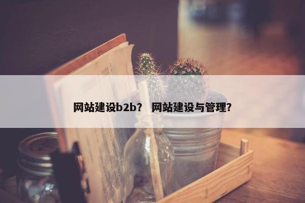 网站建设b2b？ 网站建设与管理？