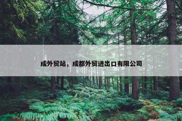 成外贸站，成都外贸进出口有限公司