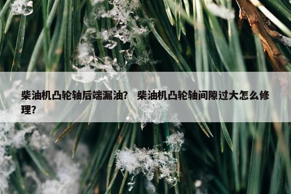 柴油机凸轮轴后端漏油？ 柴油机凸轮轴间隙过大怎么修理？