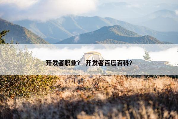 开发者职业？ 开发者百度百科？