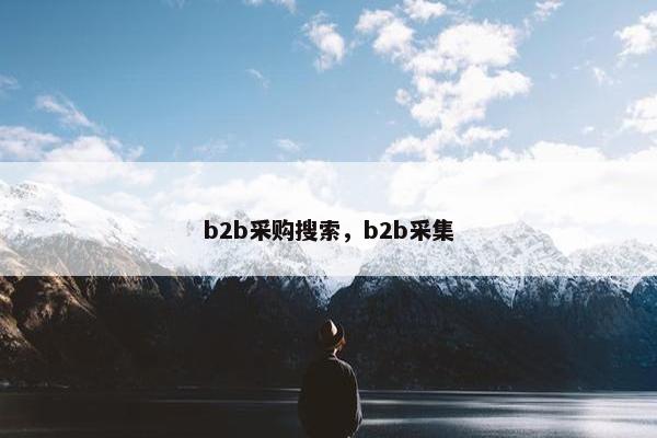 b2b采购搜索，b2b采集